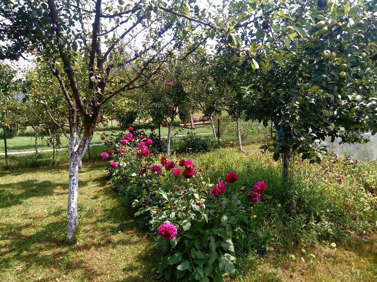 Sunny Paradise Bihać Buitenkant foto