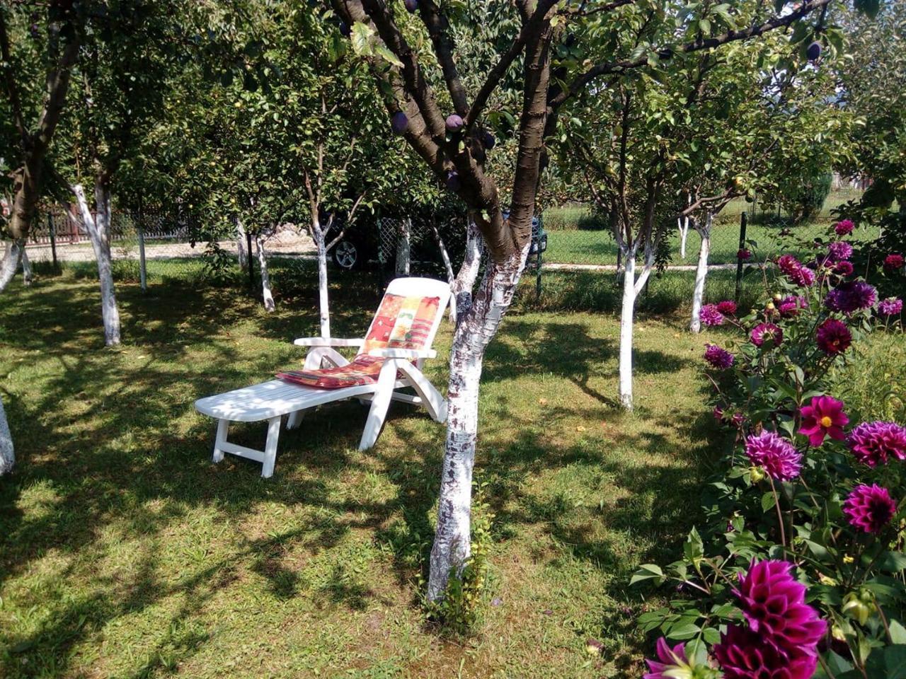 Sunny Paradise Bihać Buitenkant foto